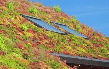 Acton Bridge living roof systems