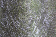 Acton Bridge fibreglass roof work